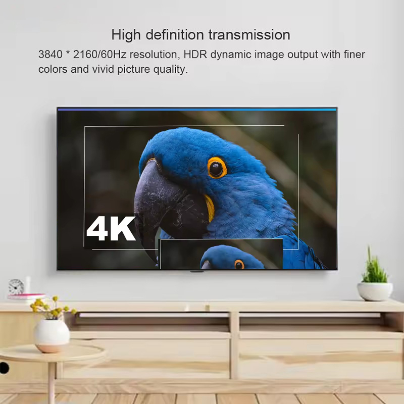 4K 60Hz DisplayPort To HDMI Ex - đánh giá và giá Hdmi Cable